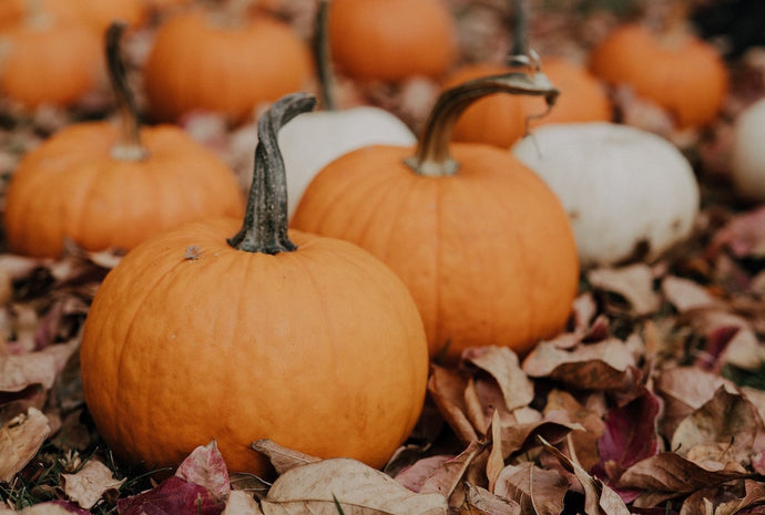 Looking after your teeth at Halloween